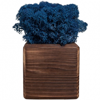 Декоративная композиция GreenBox Fire Cube, синий фото 