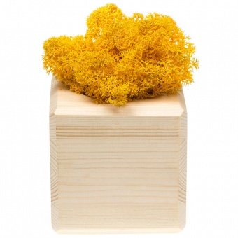 Декоративная композиция GreenBox Wooden Cube, желтый фото 