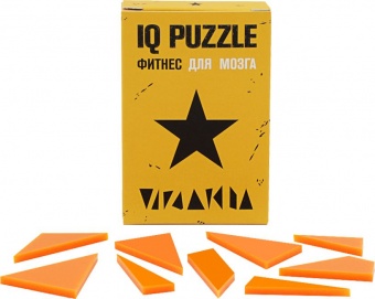 Головоломка IQ Puzzle, звезда фото 