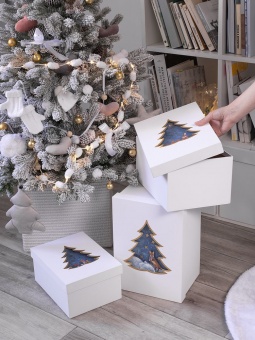 Коробка Christmas Tree, L фото 