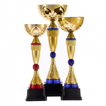 Кубок Awardee, малый, красный фото 