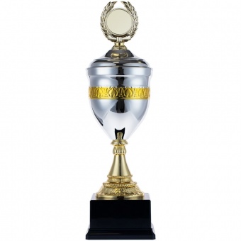Кубок EnterPrize, серебристый фото 