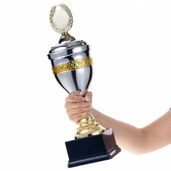 Кубок EnterPrize, серебристый фото 