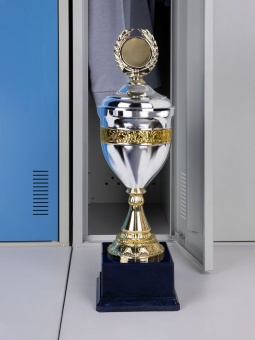 Кубок EnterPrize, серебристый фото 
