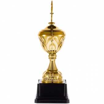 Кубок Top Star, золотистый фото 