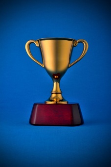 Награда «Кубок» фото 