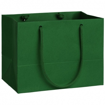 Пакет Ample XS, зеленый фото 