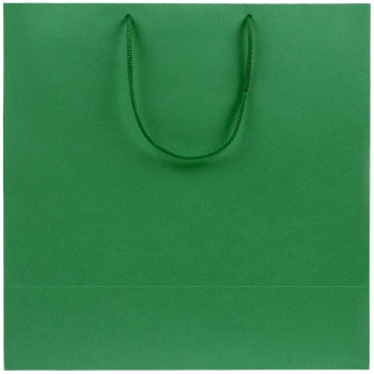 Пакет бумажный Porta L, зеленый фото 