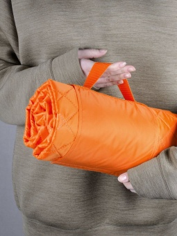 Плед для пикника Comfy, оранжевый фото 