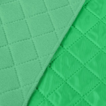 Плед для пикника Soft & Dry, светло-зеленый фото 
