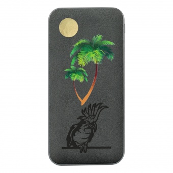 Внешний аккумулятор In Velour 10000 mAh, серый фото 