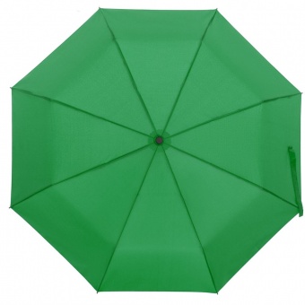 Зонт складной Monsoon, ярко-зеленый фото 
