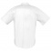 Рубашка мужская с коротким рукавом Brisbane, белая фото 3