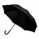 Зонт-трость Torino, черный фото 1