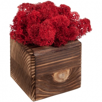 Декоративная композиция GreenBox Fire Cube, красный фото 