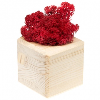 Декоративная композиция GreenBox Wooden Cube, красный фото 