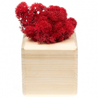 Декоративная композиция GreenBox Wooden Cube, красный фото 