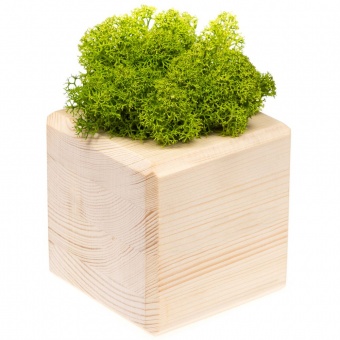 Декоративная композиция GreenBox Wooden Cube, зеленый фото 