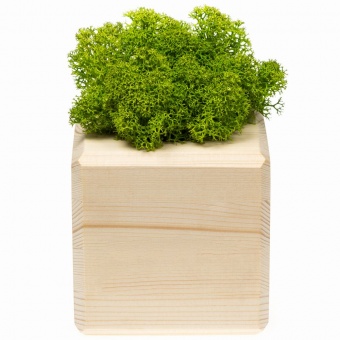 Декоративная композиция GreenBox Wooden Cube, зеленый фото 