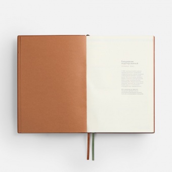 Ежедневник Avila, недатированный, зеленый фото 