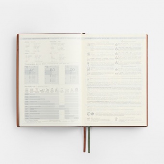 Ежедневник Avila, недатированный, зеленый фото 