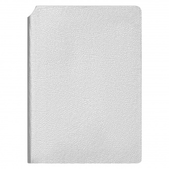 Ежедневник Molto недатированный, серебряный фото 