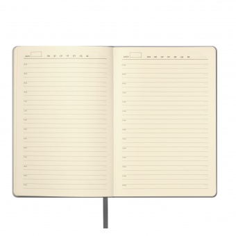 Ежедневник Molto недатированный, серебряный фото 