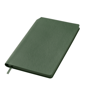 Ежедневник Molto недатированный, зеленый фото 
