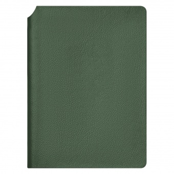 Ежедневник Molto недатированный, зеленый фото 