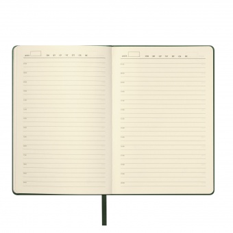 Ежедневник Molto недатированный, зеленый фото 