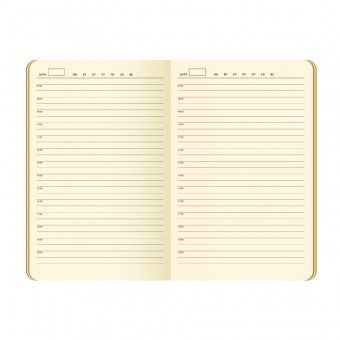 Ежедневник недатированный, Portobello Trend, Alpha , жесткая обложка , 145х210, 256 стр, коричневый/оранжевый фото 