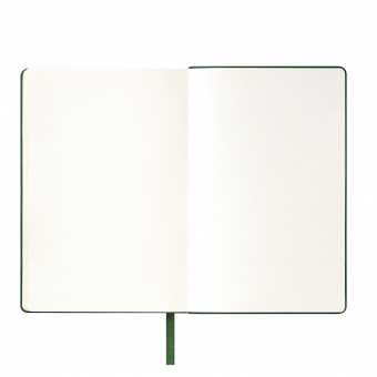 Ежедневник Spark недатированный, зеленый (без упаковки, без стикера) фото 