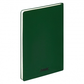 Ежедневник Spark недатированный, зеленый (без упаковки, без стикера) фото 