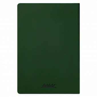 Ежедневник Spark недатированный, зеленый (без упаковки, без стикера) фото 