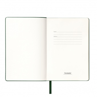 Ежедневник Spark недатированный, зеленый (без упаковки, без стикера) фото 