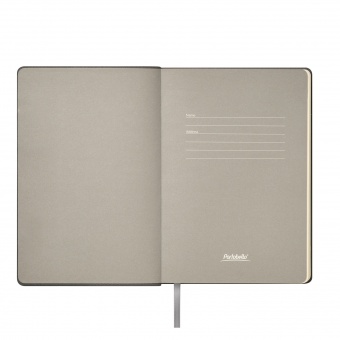 Ежедневник Teolo недатированный, серый фото 