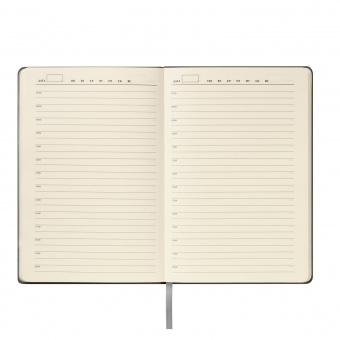 Ежедневник Teolo недатированный, серый фото 