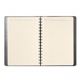 Ежедневник Vista Neo недатированный, серый фото 