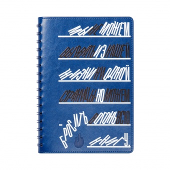 Ежедневник Vista Neo недатированный, серый фото 