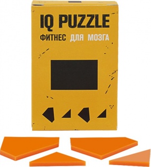 Головоломка IQ Puzzle Figures, прямоугольник фото 