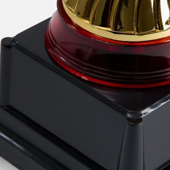 Кубок Awardee, малый, красный фото  Кубок Awardee, малый, красный фото