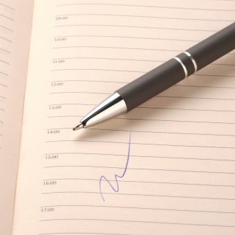 Шариковая ручка Alpha, какао фото 