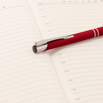 Шариковая ручка Alpha, красная фото 