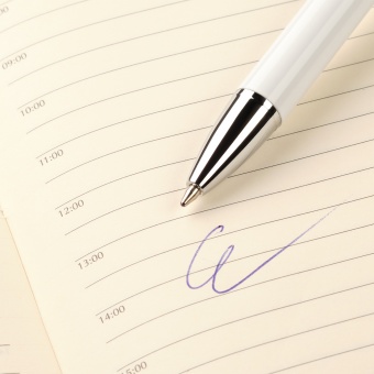 Шариковая ручка Arctic, белая/зеленая фото 