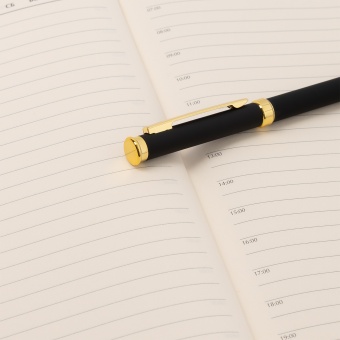 Шариковая ручка Benua, черная/позолота фото 