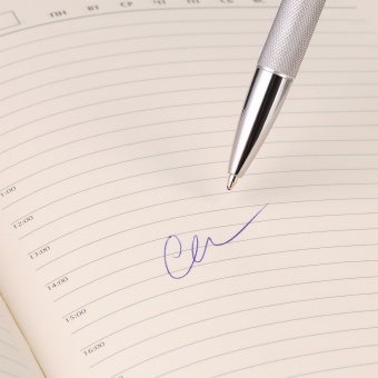 Шариковая ручка Levi, серая фото 