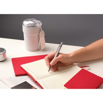 Шариковая ручка Levi, серая фото 