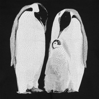 Свитшот детский Like a Penguin, черный фото 3