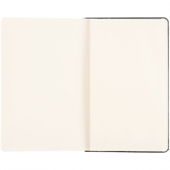 Записная книжка Moleskine Professional Large, черная фото 