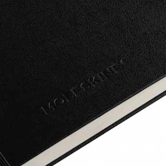 Записная книжка Moleskine Professional Large, черная фото 